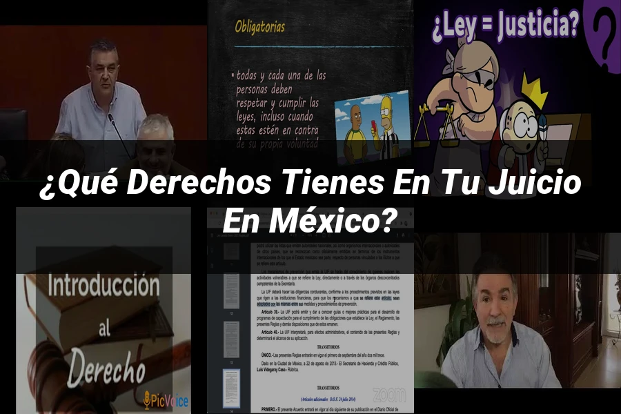 "¿Qué Derechos Tienes en tu Juicio en México?"