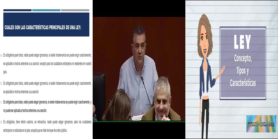"¿Qué Derechos Tienes en tu Juicio en México?"