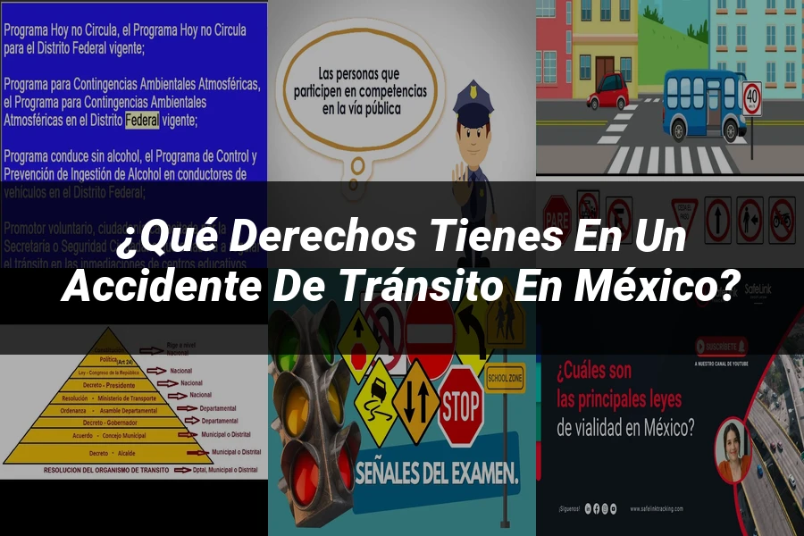 "¿Qué Derechos Tienes en un Accidente de Tránsito en México?"