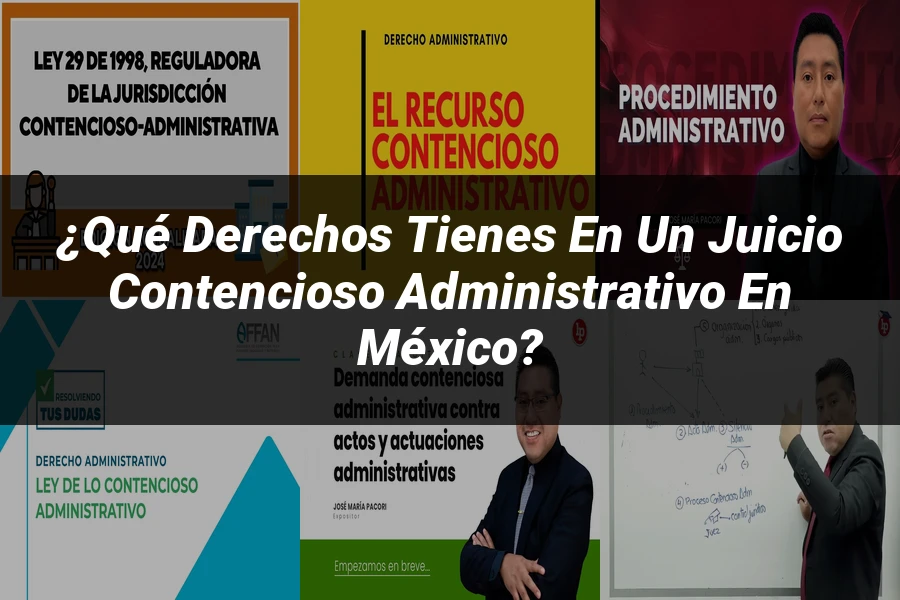 "¿Qué Derechos Tienes en un Juicio Contencioso Administrativo en México?"