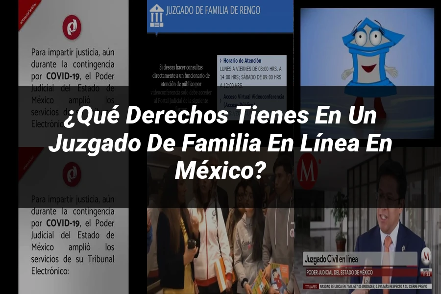 "¿Qué Derechos Tienes en un Juzgado de Familia en Línea en México?"