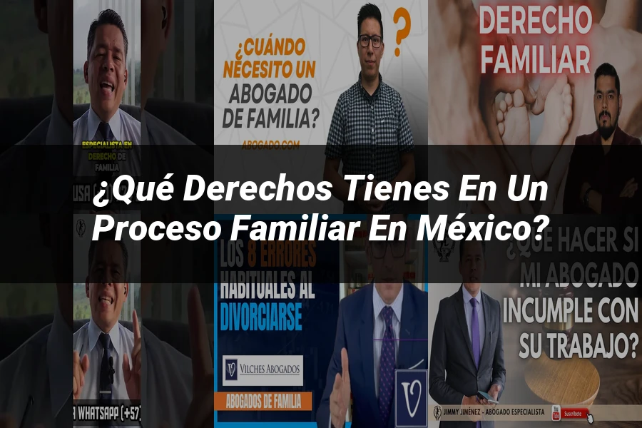 "¿Qué Derechos Tienes en un Proceso Familiar en México?"