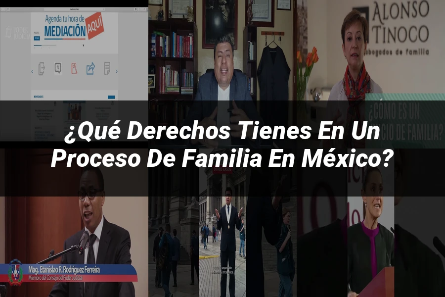 "¿Qué Derechos Tienes en un Proceso de Familia en México?"