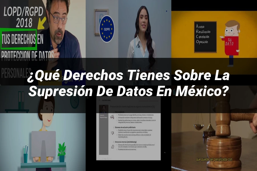 "¿Qué Derechos Tienes sobre la Supresión de Datos en México?"