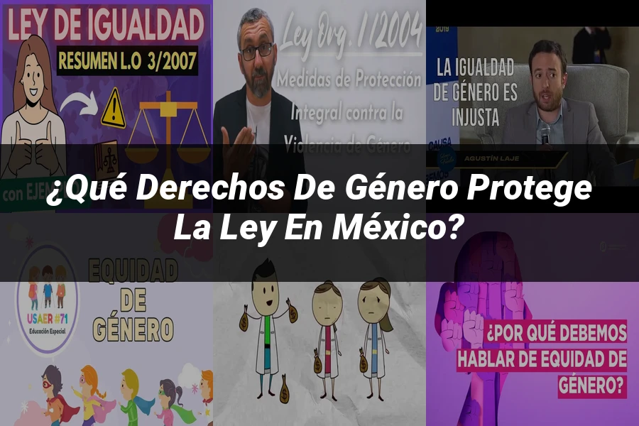 "¿Qué Derechos de Género Protege la Ley en México?"