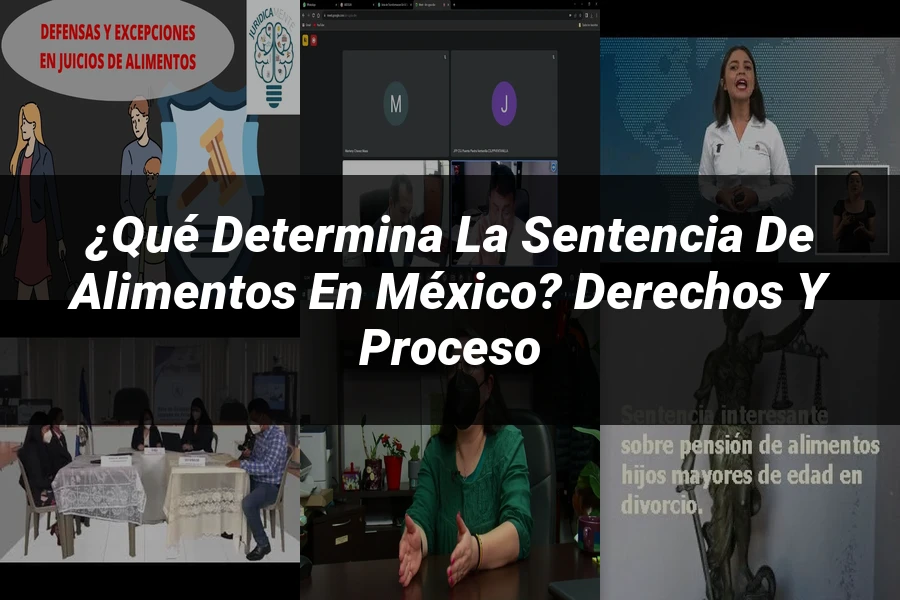 "¿Qué Determina la Sentencia de Alimentos en México? Derechos y Proceso"