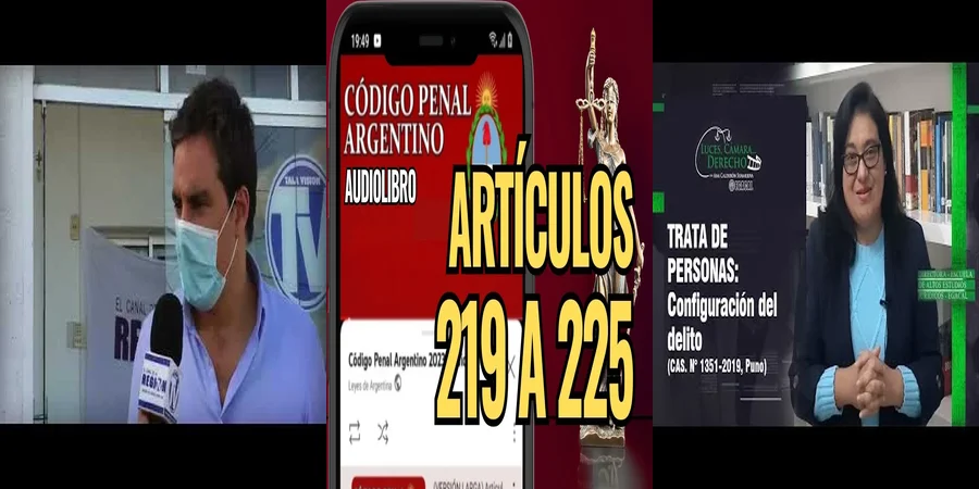"¿Qué Dice el Artículo 224 del Código Penal en México sobre Delitos?"