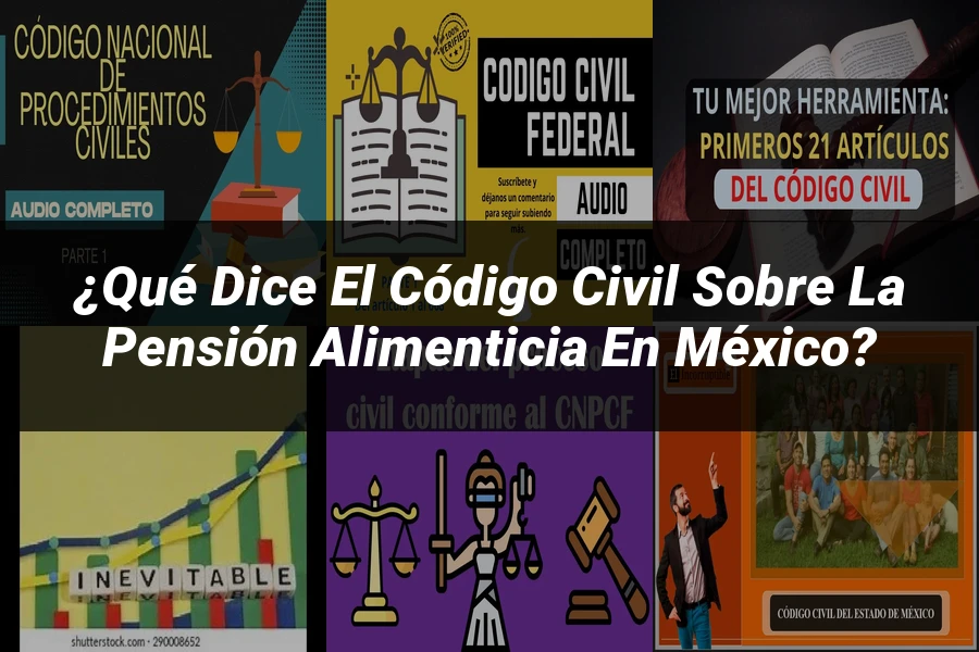 "¿Qué Dice el Código Civil sobre la Pensión Alimenticia en México?"