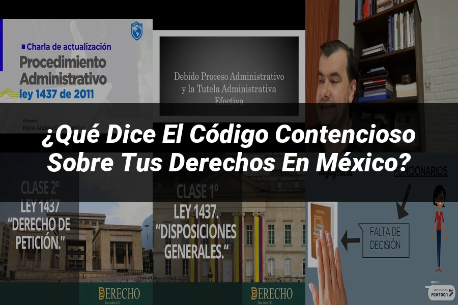 "¿Qué Dice el Código Contencioso sobre Tus Derechos en México?"