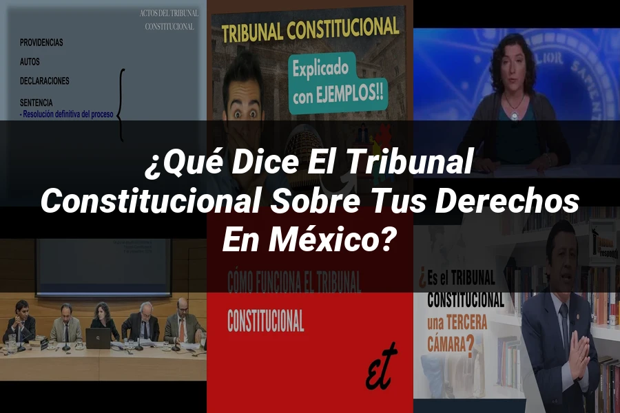 "¿Qué Dice el Tribunal Constitucional sobre tus Derechos en México?"