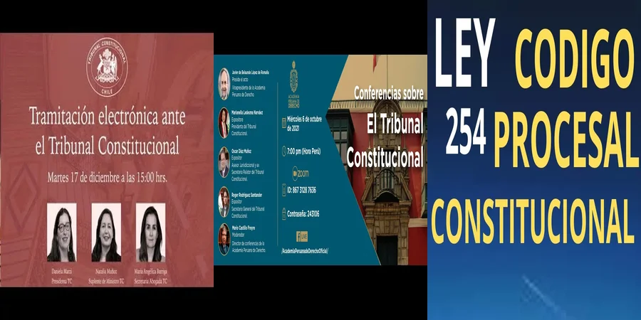 "¿Qué Dice el Tribunal Constitucional sobre tus Derechos en México?"