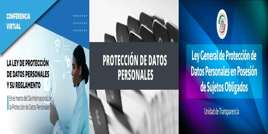 "¿Qué Dice la Constitución Mexicana sobre la Protección de Datos?"