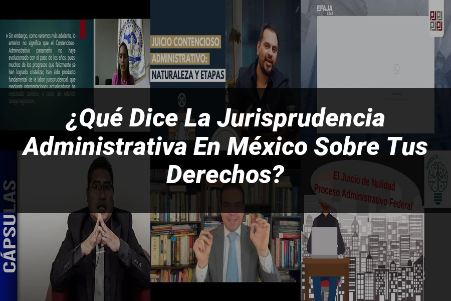 "¿Qué Dice la Jurisprudencia Administrativa en México sobre tus Derechos?"
