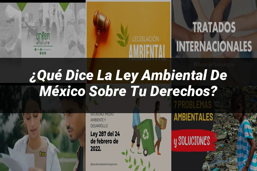 "¿Qué Dice la Ley Ambiental de México sobre tu Derechos?"
