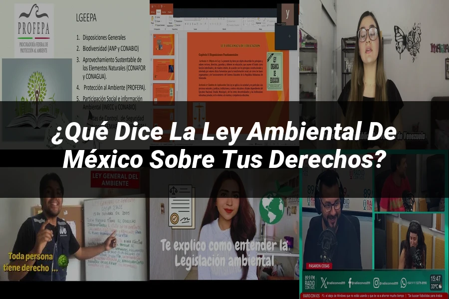 "¿Qué Dice la Ley Ambiental de México sobre tus Derechos?"