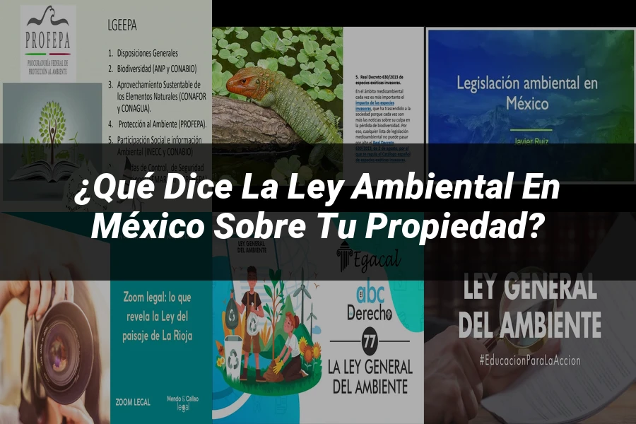 "¿Qué Dice la Ley Ambiental en México sobre Tu Propiedad?"