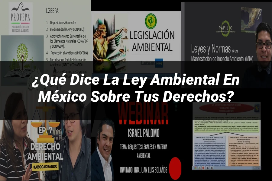 "¿Qué Dice la Ley Ambiental en México sobre tus Derechos?"