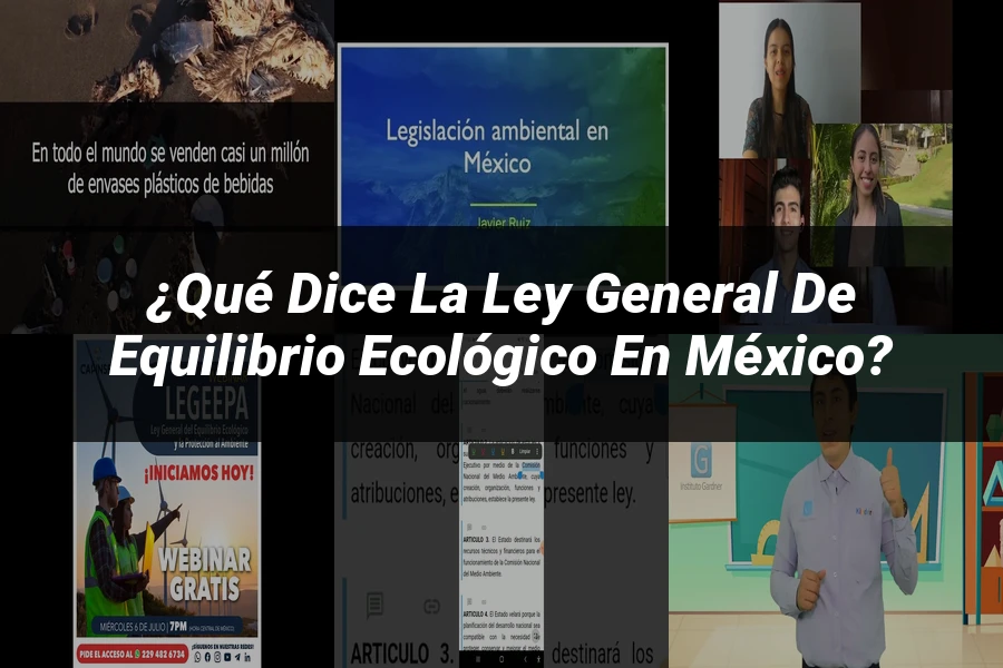 "¿Qué Dice la Ley General de Equilibrio Ecológico en México?"