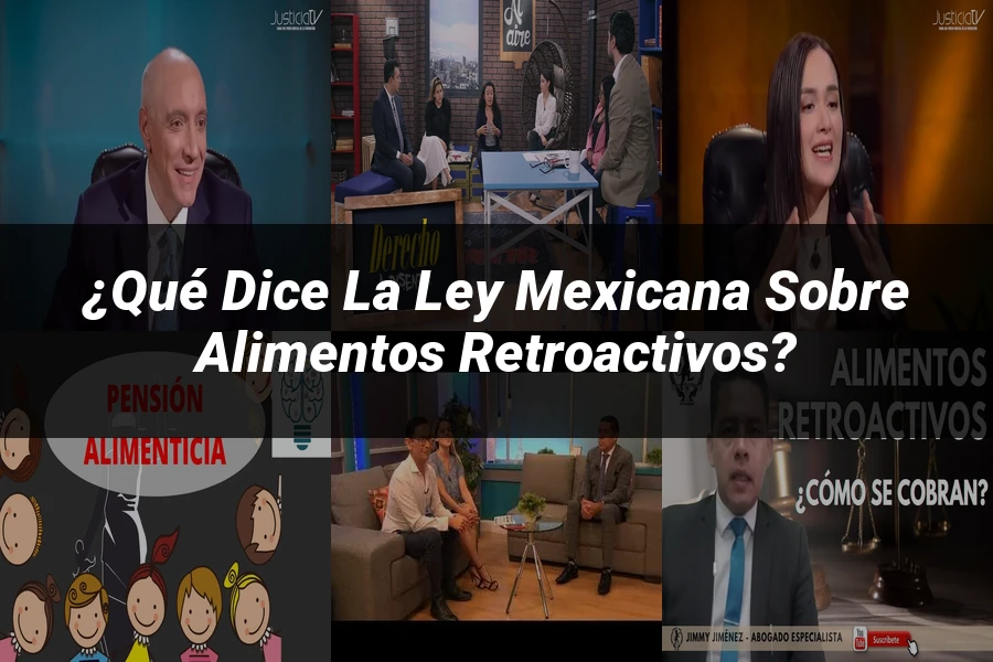 "¿Qué Dice la Ley Mexicana sobre Alimentos Retroactivos?"
