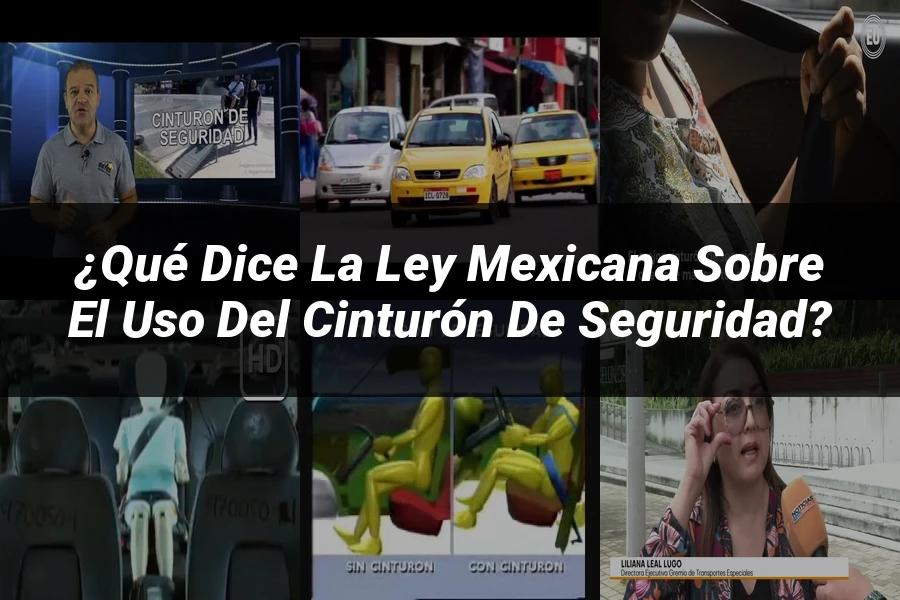 "¿Qué Dice la Ley Mexicana sobre el Uso del Cinturón de Seguridad?"