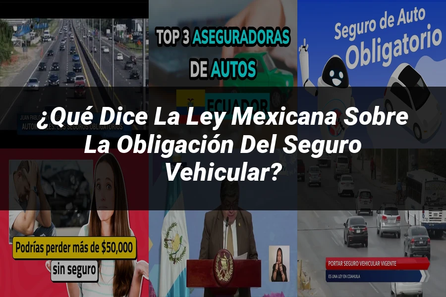 "¿Qué Dice la Ley Mexicana sobre la Obligación del Seguro Vehicular?"