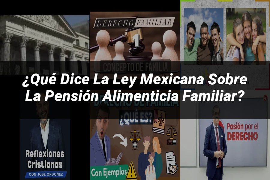 "¿Qué Dice la Ley Mexicana sobre la Pensión Alimenticia Familiar?"