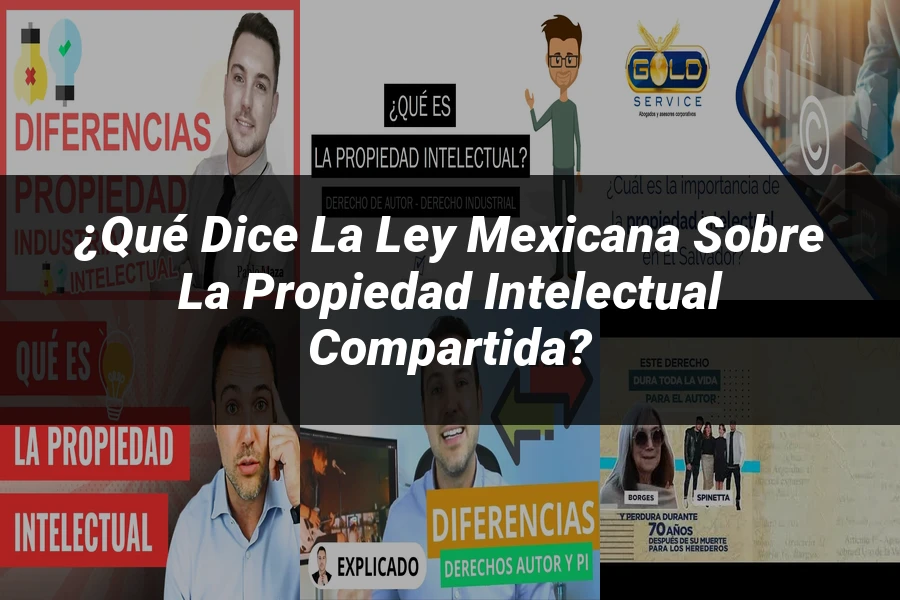 "¿Qué Dice la Ley Mexicana sobre la Propiedad Intelectual Compartida?"