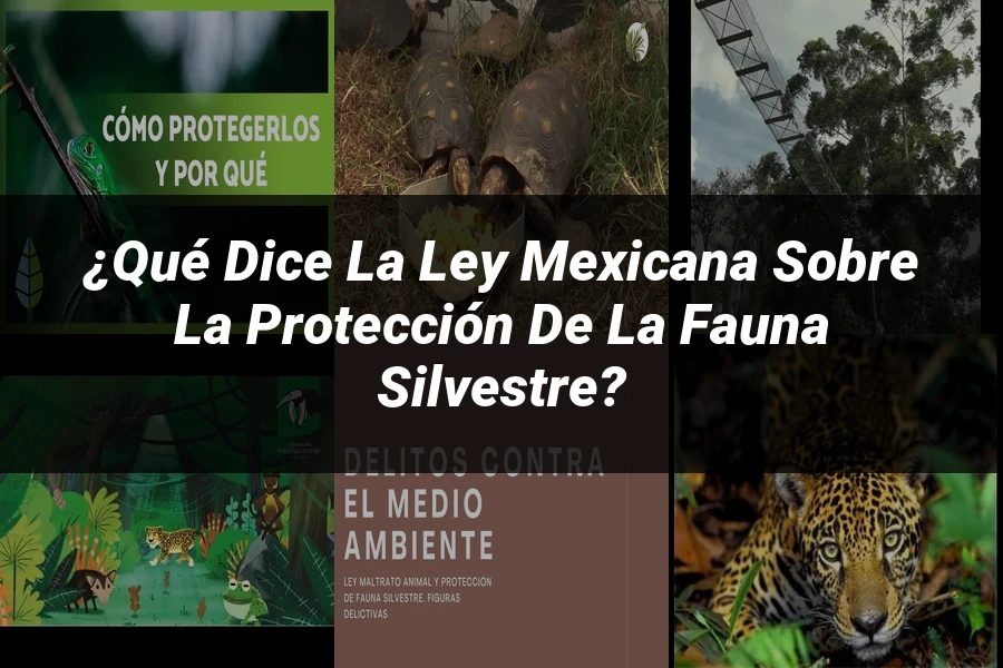 "¿Qué Dice la Ley Mexicana sobre la Protección de la Fauna Silvestre?"