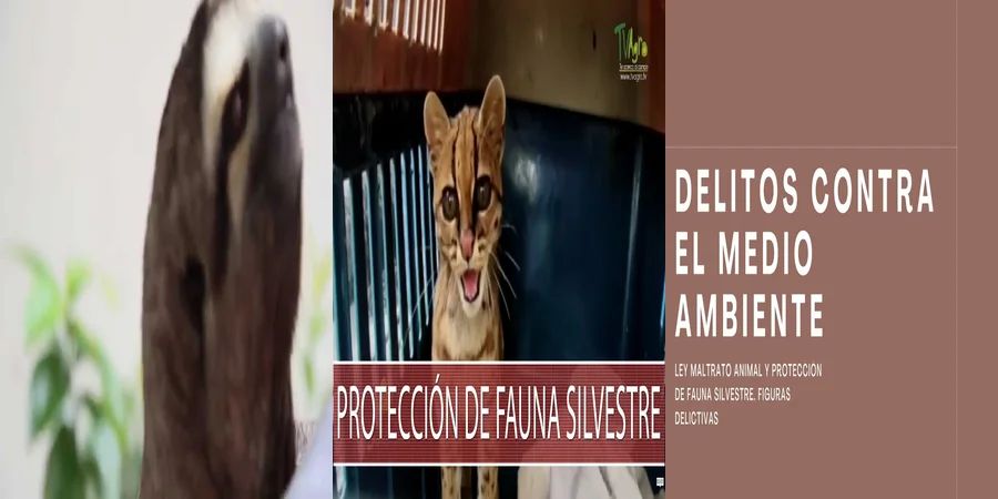 "¿Qué Dice la Ley Mexicana sobre la Protección de la Fauna Silvestre?"