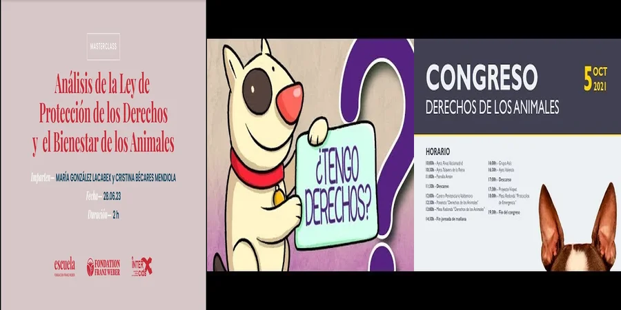 "¿Qué Dice la Ley Mexicana sobre los Derechos de los Animales?"