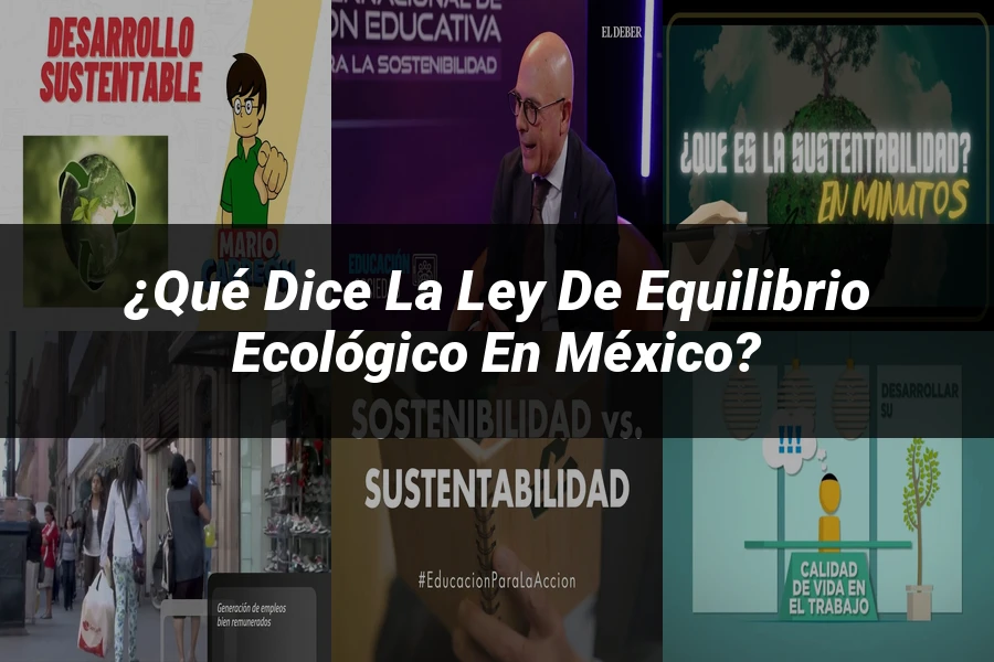 "¿Qué Dice la Ley de Equilibrio Ecológico en México?"