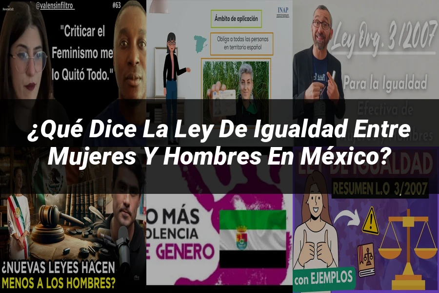 "¿Qué Dice la Ley de Igualdad entre Mujeres y Hombres en México?"