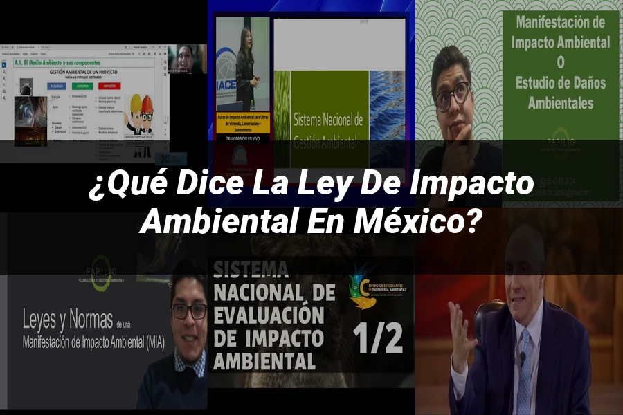 "¿Qué Dice la Ley de Impacto Ambiental en México?"