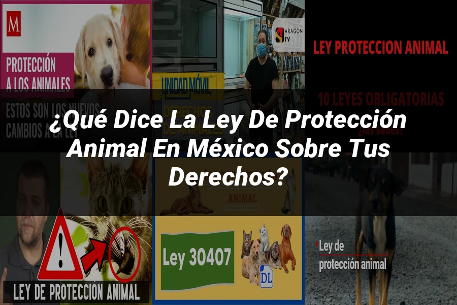 "¿Qué Dice la Ley de Protección Animal en México sobre tus Derechos?"