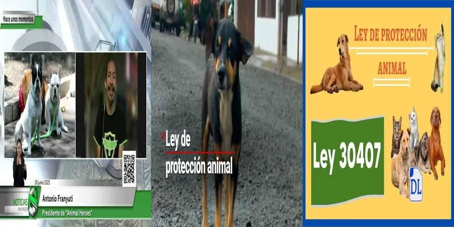"¿Qué Dice la Ley de Protección Animal en México sobre tus Derechos?"