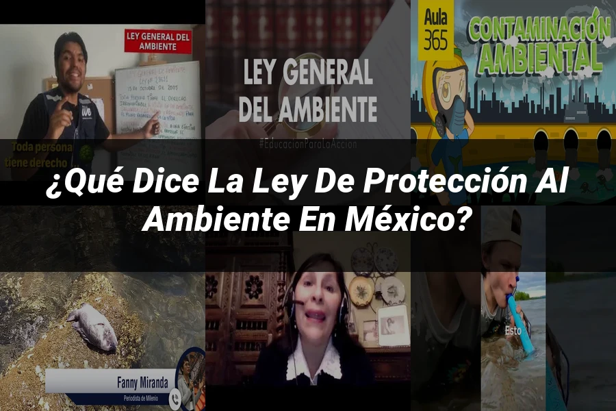 "¿Qué Dice la Ley de Protección al Ambiente en México?"