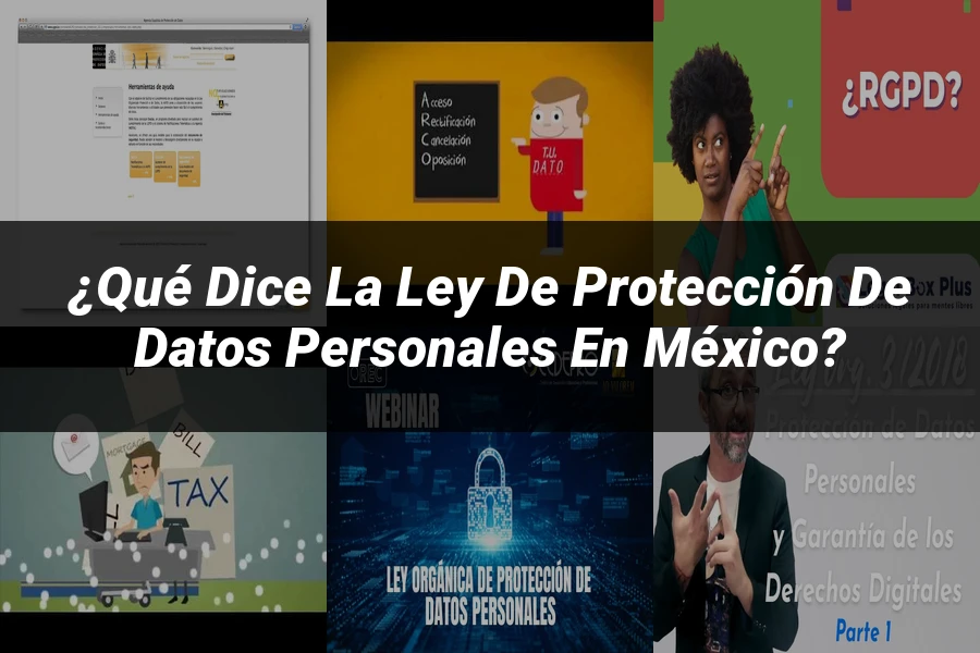 "¿Qué Dice la Ley de Protección de Datos Personales en México?"