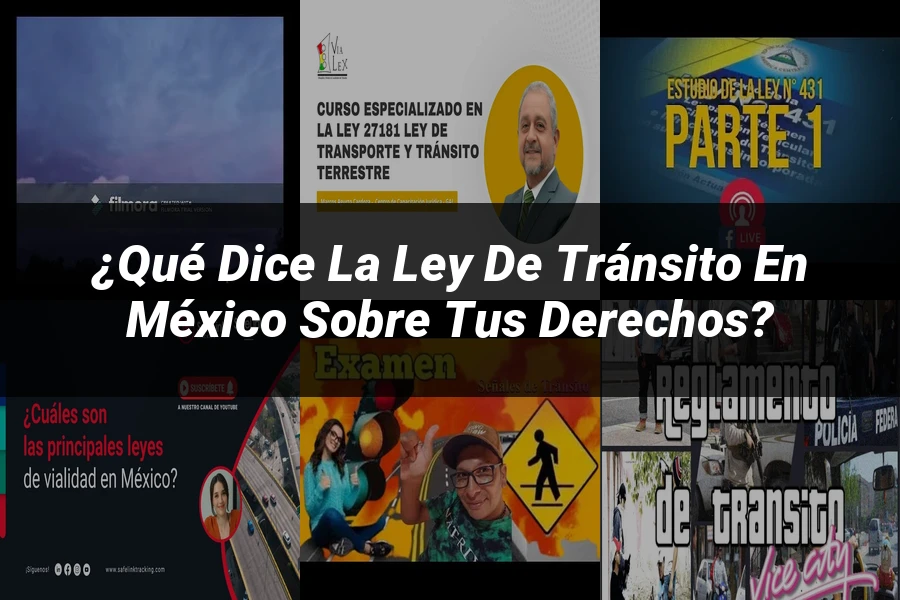"¿Qué Dice la Ley de Tránsito en México sobre tus Derechos?"