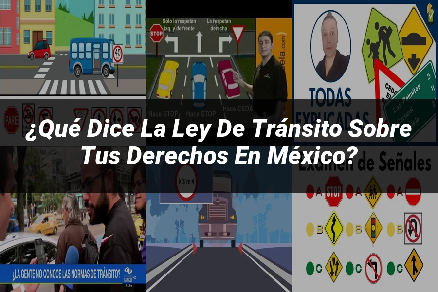 "¿Qué Dice la Ley de Tránsito sobre tus Derechos en México?"