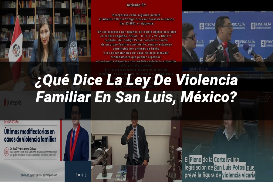 "¿Qué Dice la Ley de Violencia Familiar en San Luis, México?"