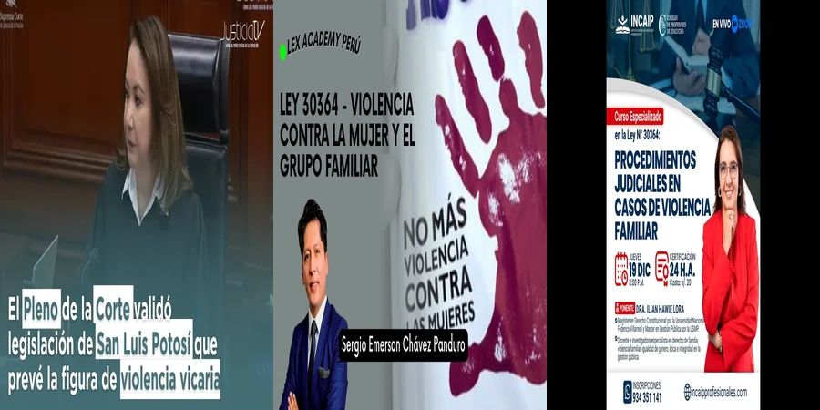 "¿Qué Dice la Ley de Violencia Familiar en San Luis, México?"