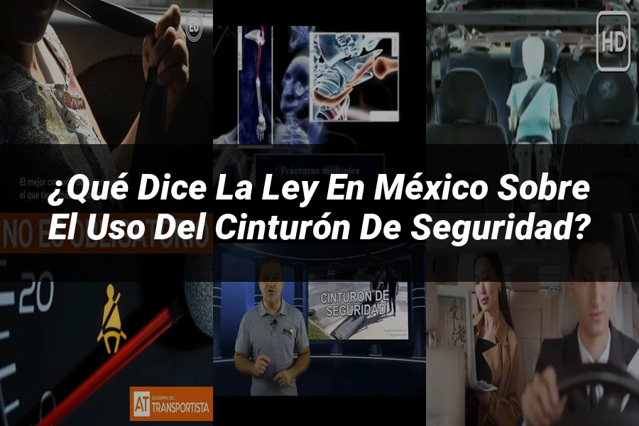 "¿Qué Dice la Ley en México Sobre el Uso del Cinturón de Seguridad?"