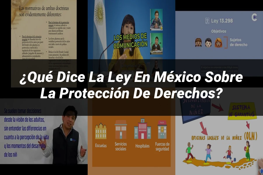 "¿Qué Dice la Ley en México Sobre la Protección de Derechos?"
