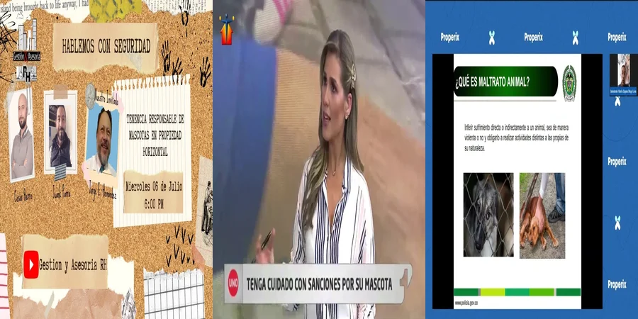 "¿Qué Dice la Ley sobre Mascotas en Propiedad Horizontal en México?"