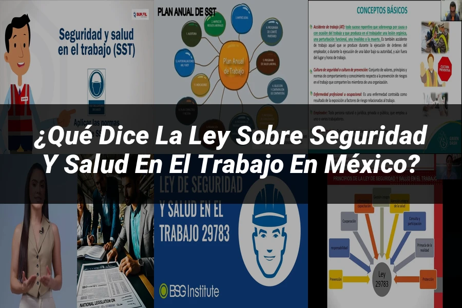 "¿Qué Dice la Ley sobre Seguridad y Salud en el Trabajo en México?"