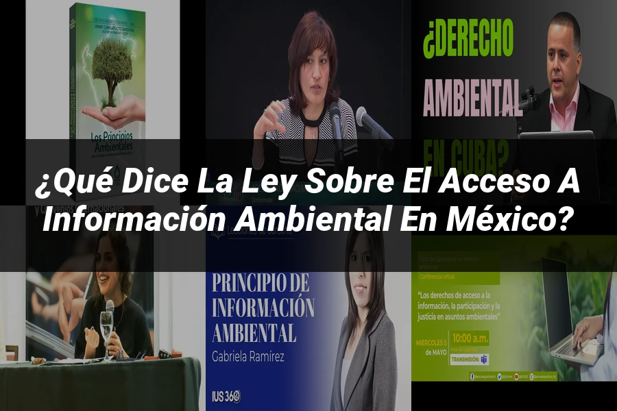 "¿Qué Dice la Ley sobre el Acceso a Información Ambiental en México?"