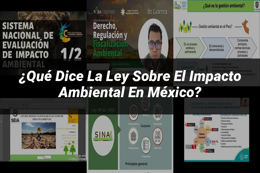 "¿Qué Dice la Ley sobre el Impacto Ambiental en México?"