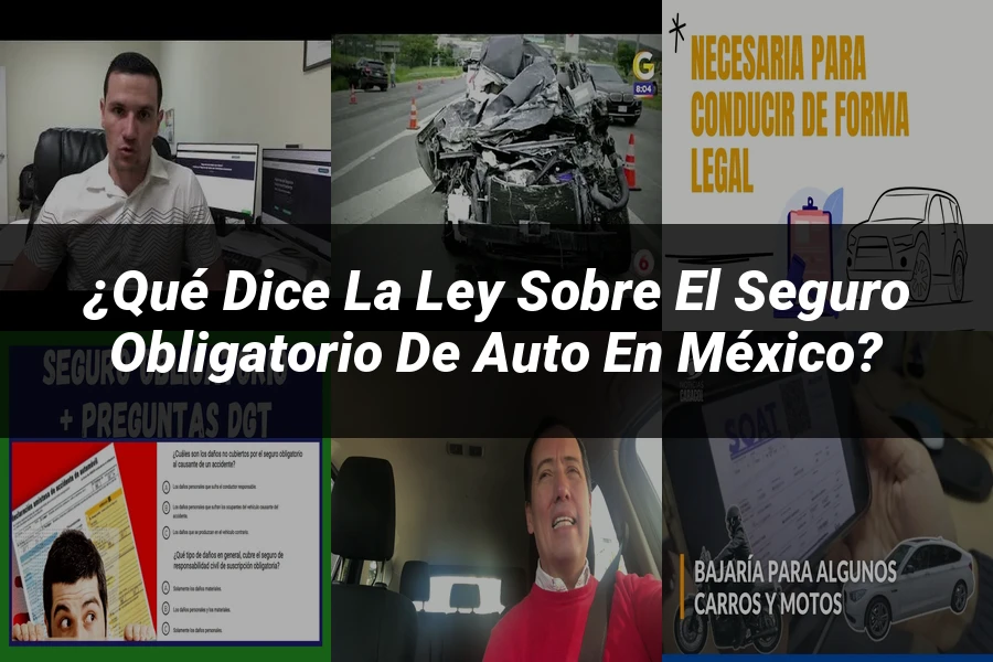 "¿Qué Dice la Ley sobre el Seguro Obligatorio de Auto en México?"