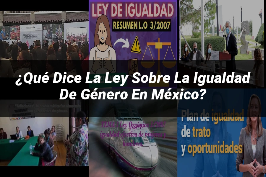 "¿Qué Dice la Ley sobre la Igualdad de Género en México?"
