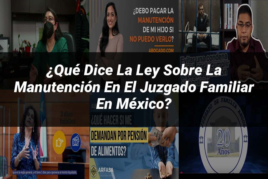 "¿Qué Dice la Ley sobre la Manutención en el Juzgado Familiar en México?"